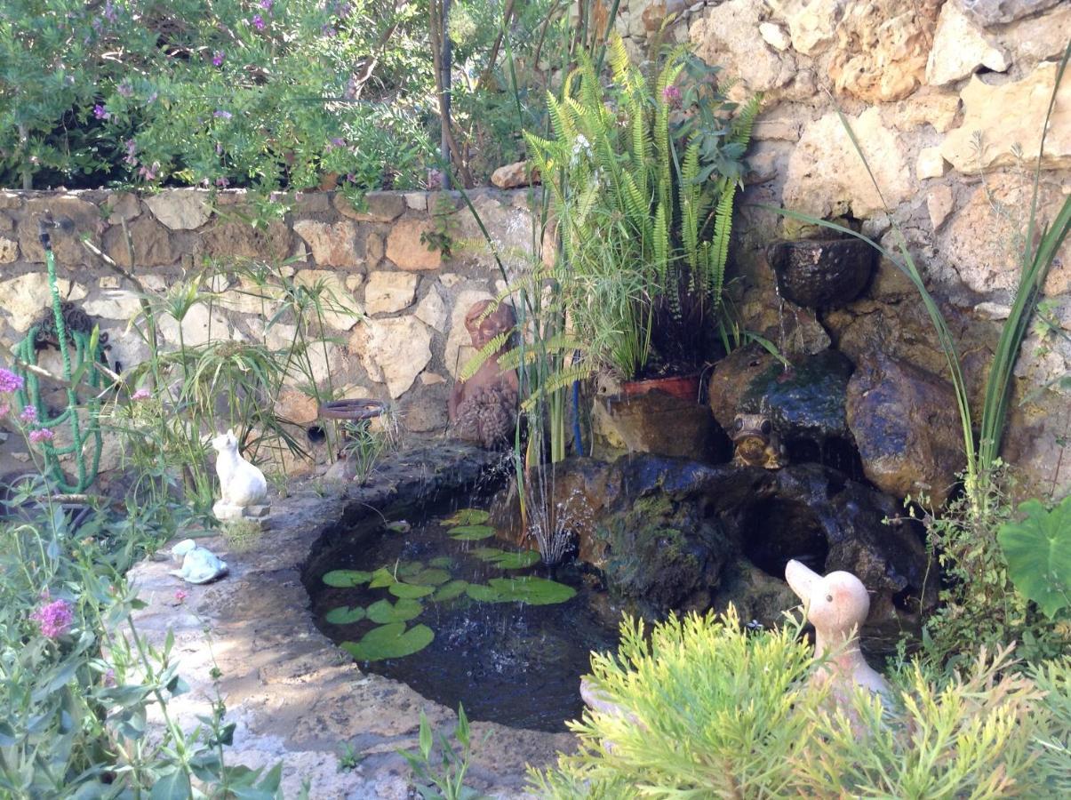 Olive House Traditional Villa With Pool シティア エクステリア 写真